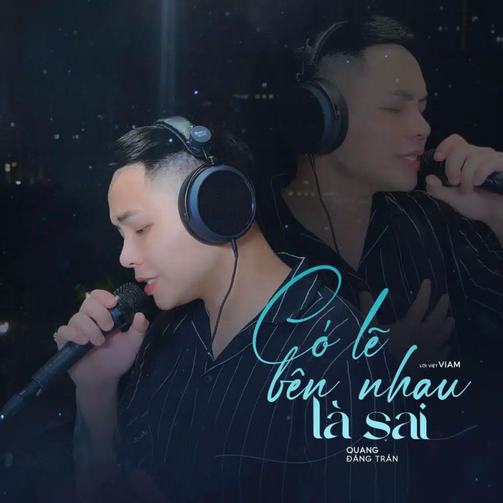 Quang Đăng Trần, ViAM & MeMe Media