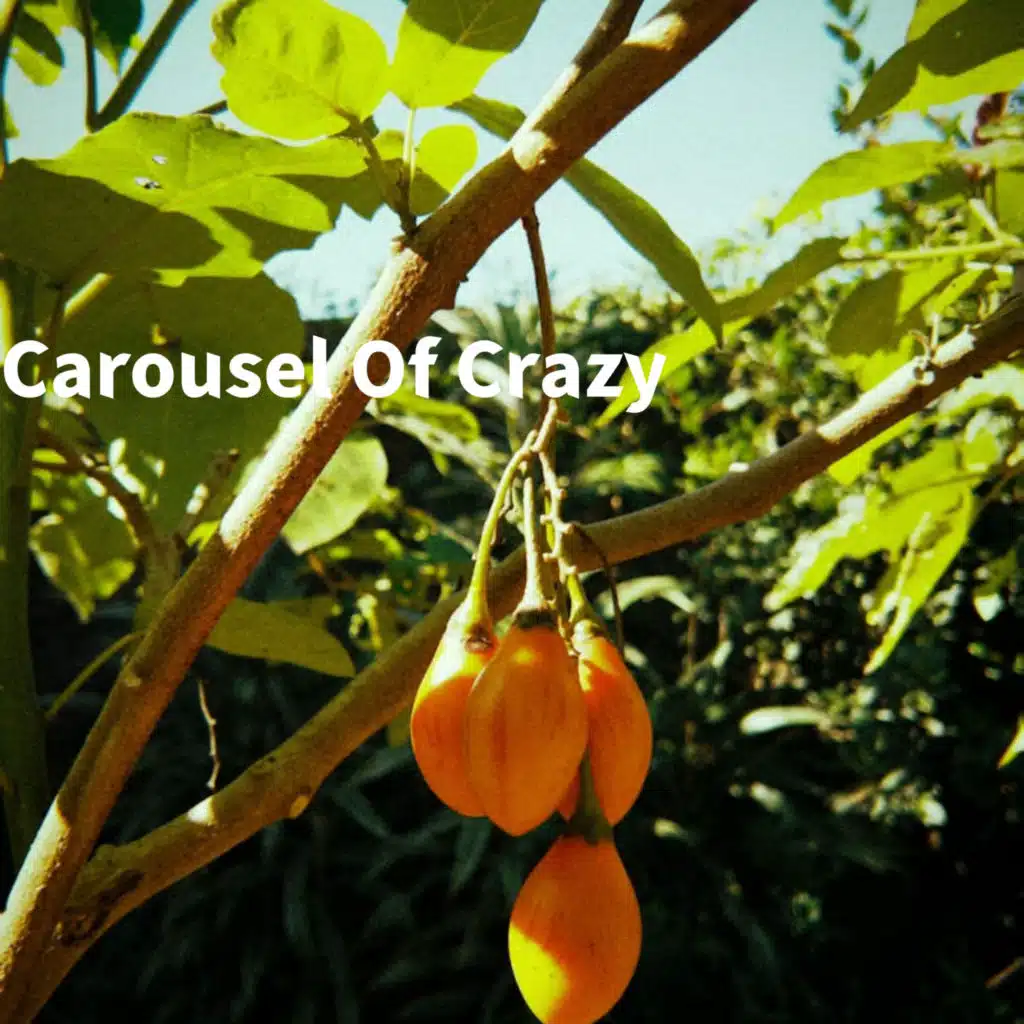 Carousel of Crazy