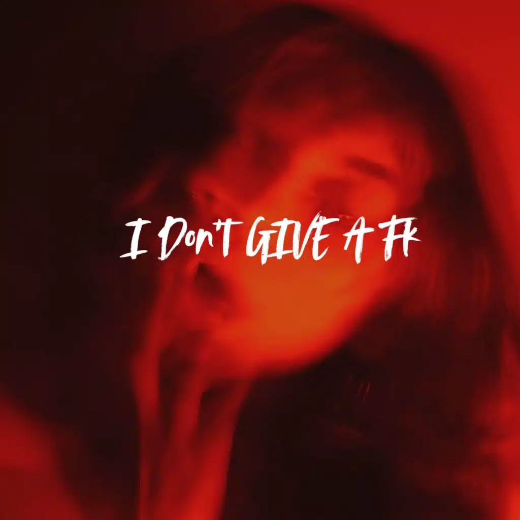 I Don't Give a Fk