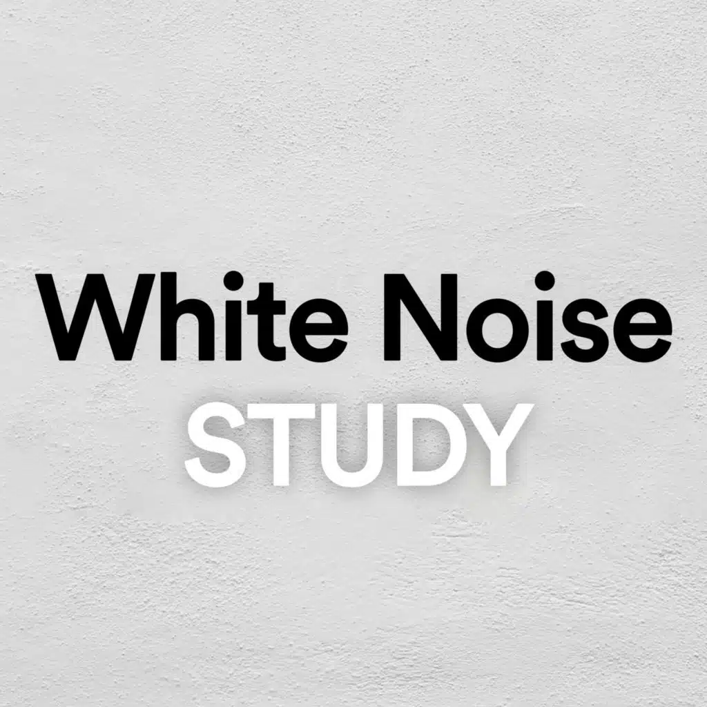 White Noise Study