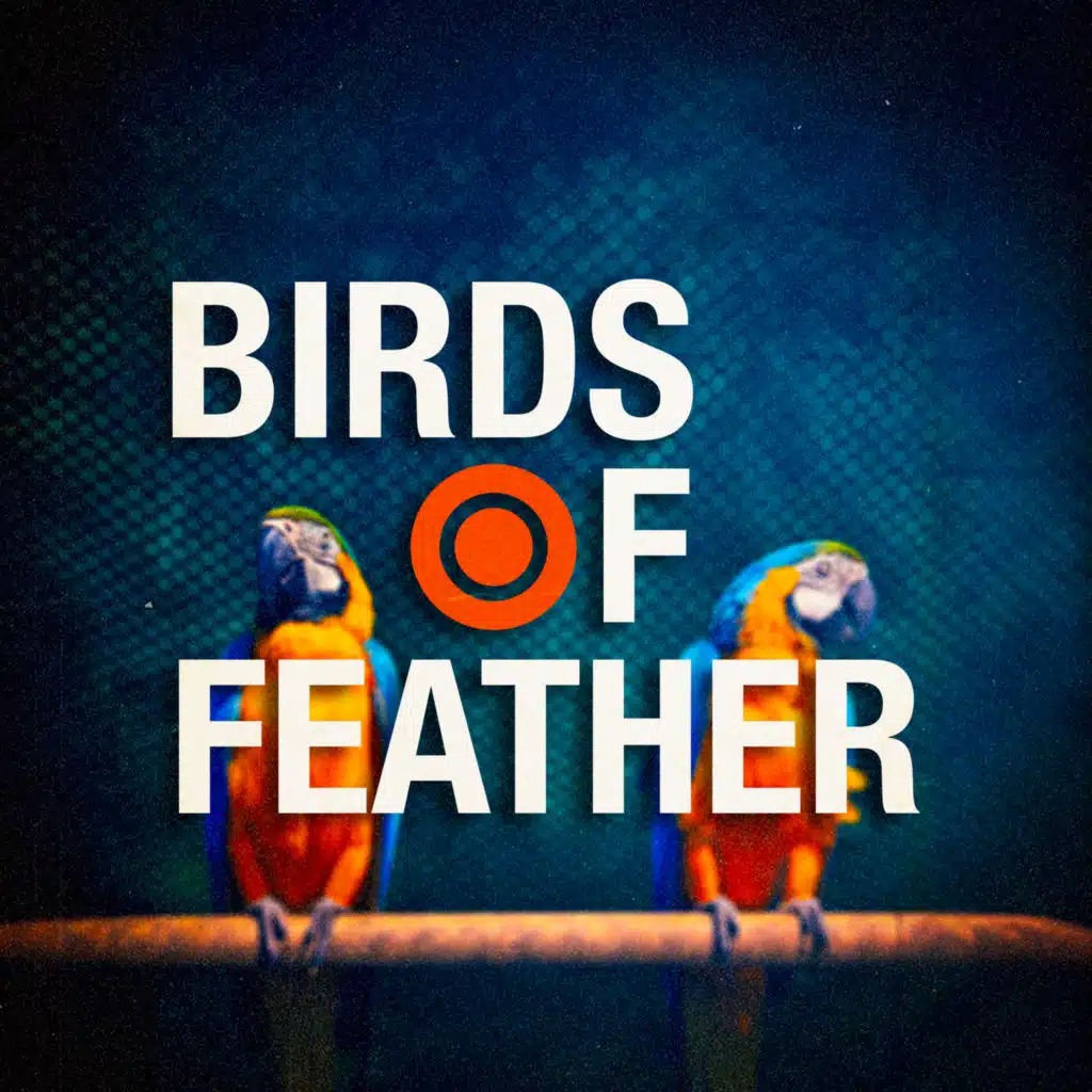 BIRDS OF A FEATHER (Funk Version)