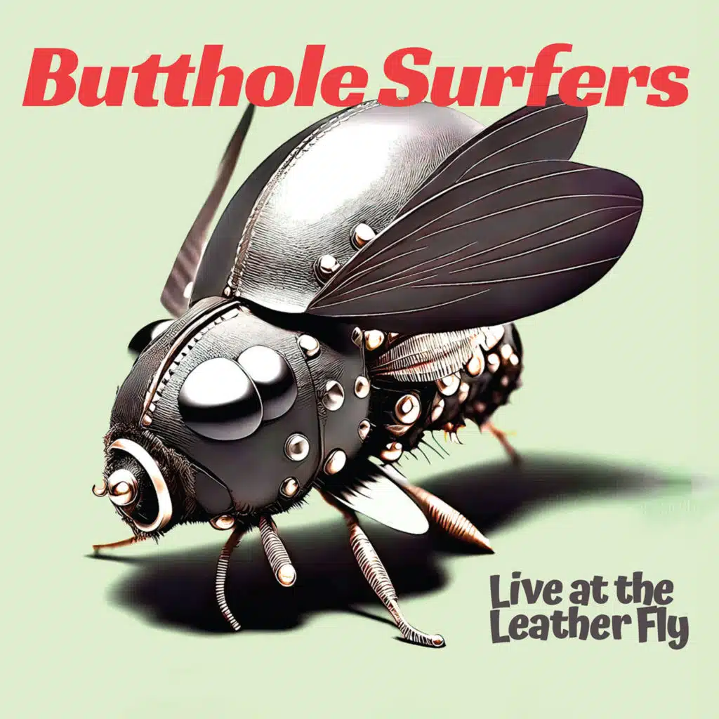 Butthole Surfers