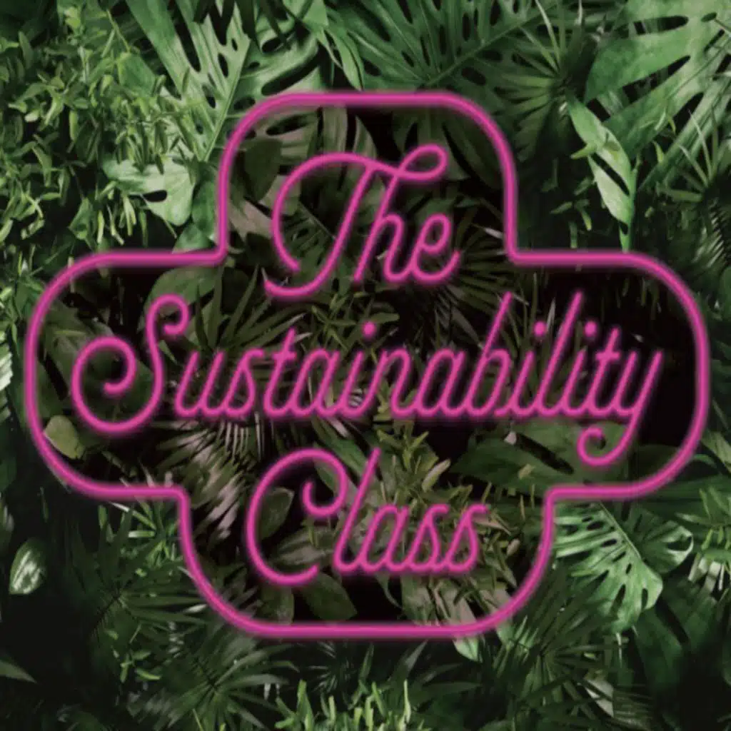 Reclaiming Environmentalism w/ Vijay Kolinjivadi & Aaron Vansintjan