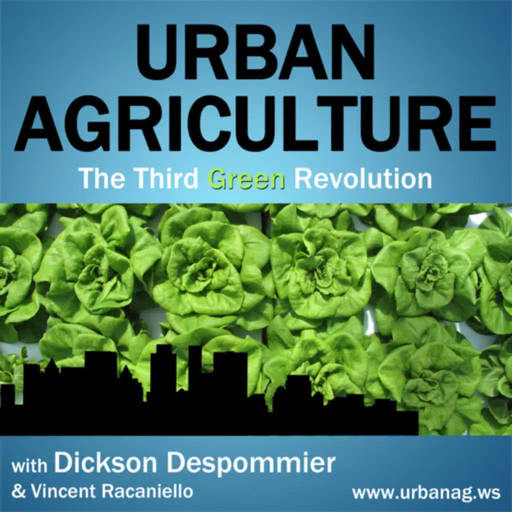 Urban Agriculture 4: The future of farming
