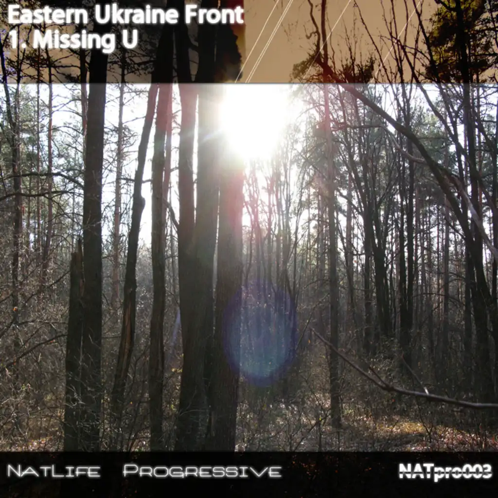 Eastern Ukraine Front