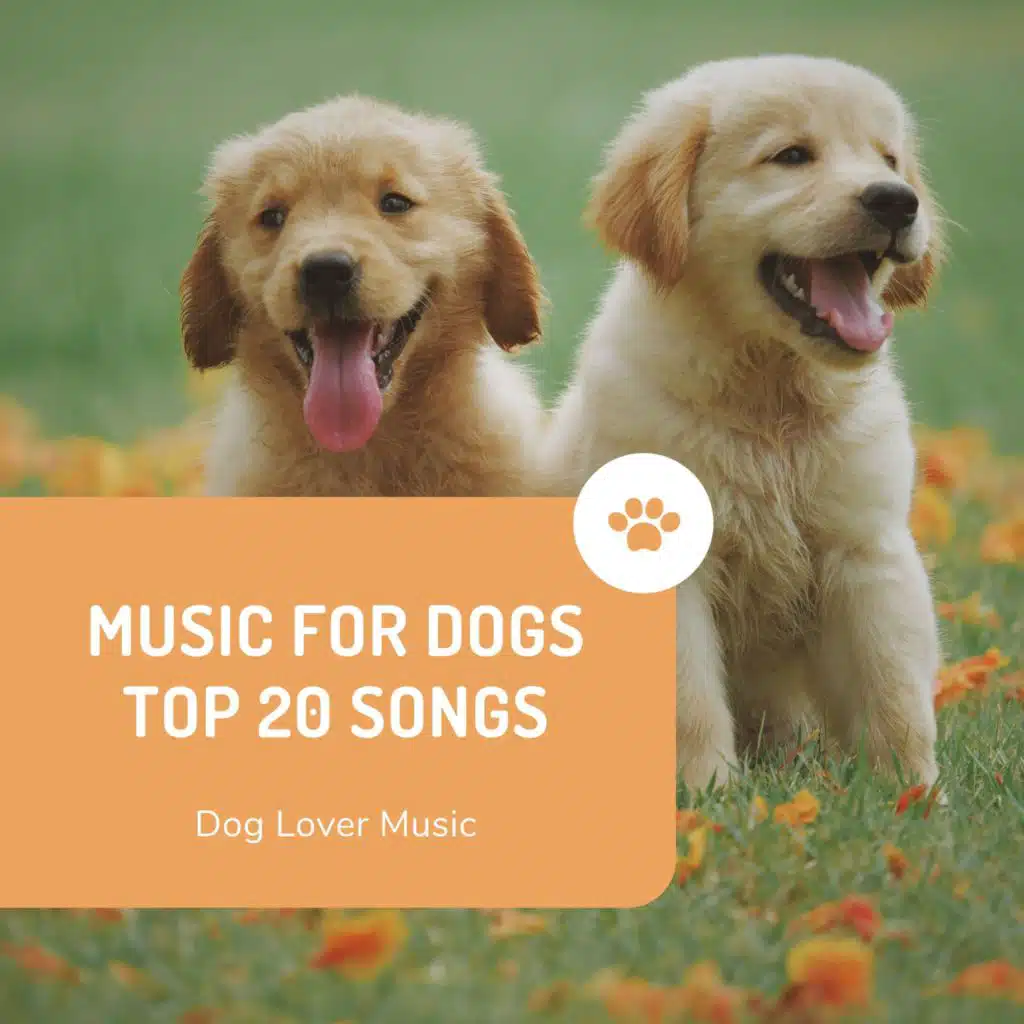 Music for dogs Top 20 songs