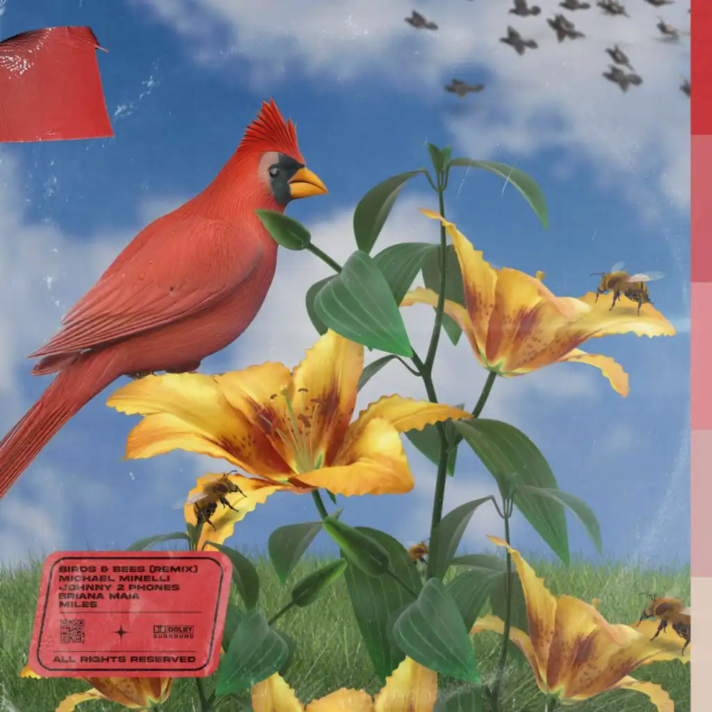 Birds & Bees (feat. Miles) (Remix)