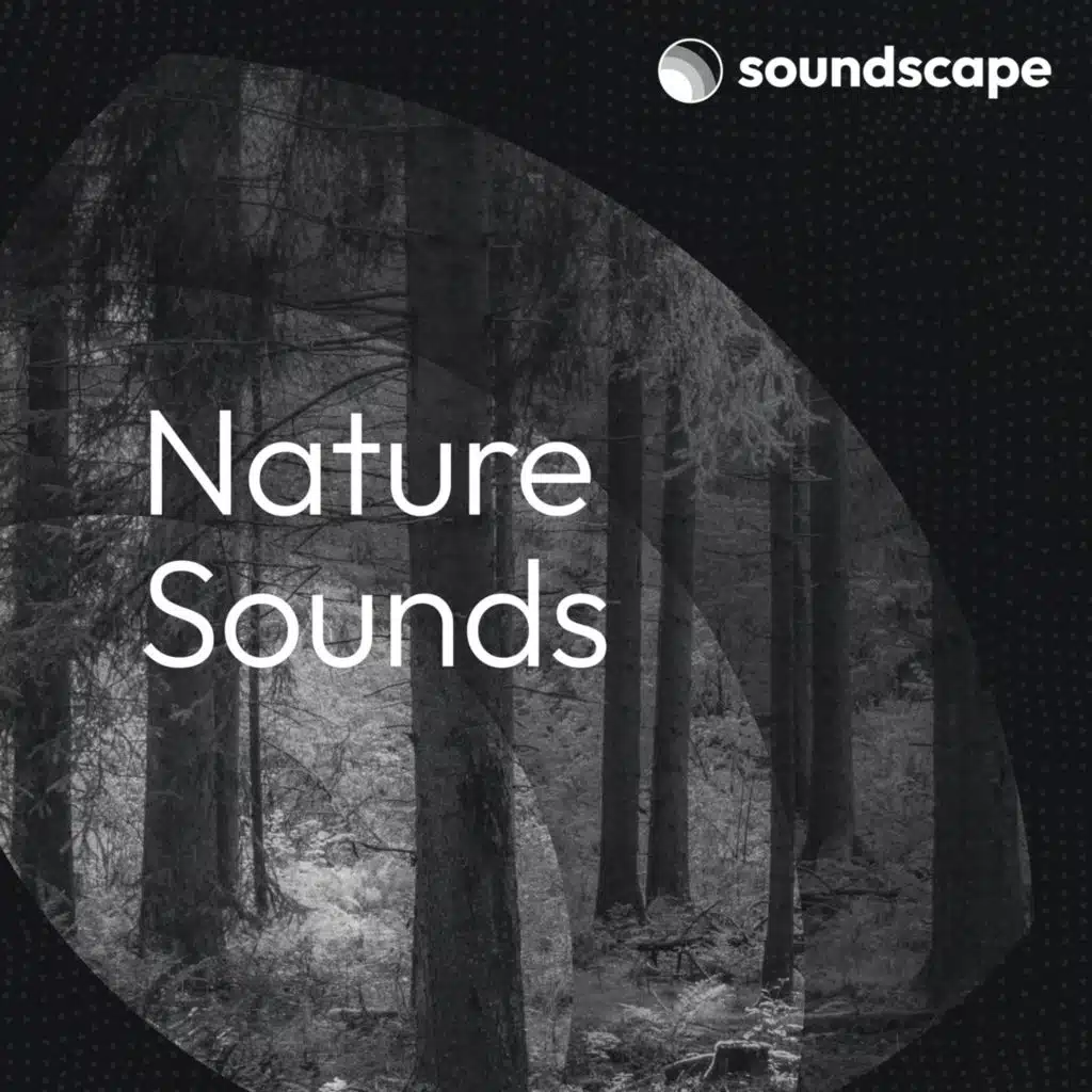 Nature Sounds