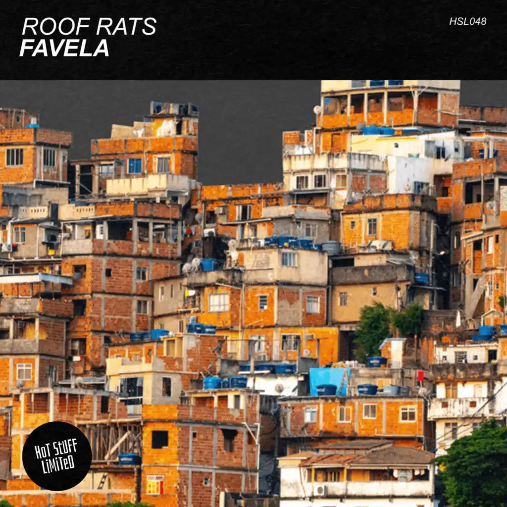 Roof Rats