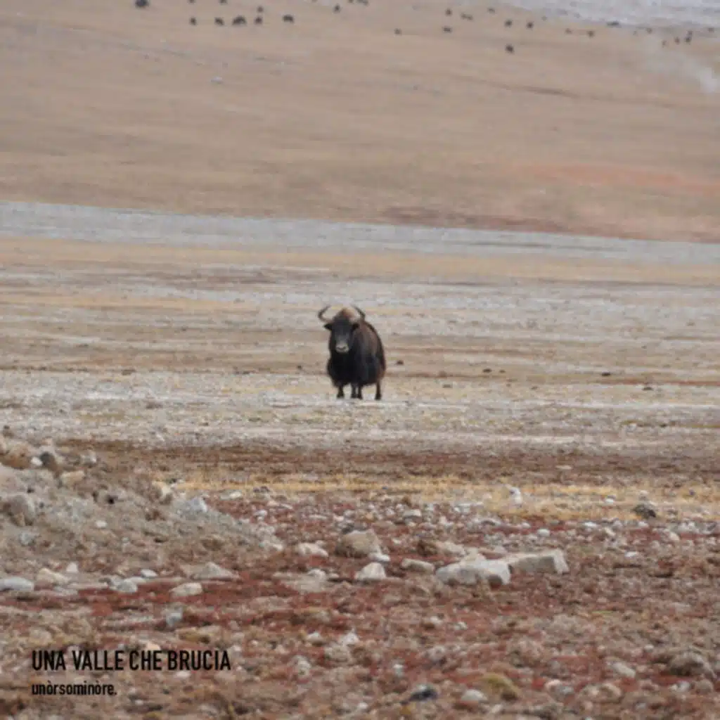 Una valle che brucia