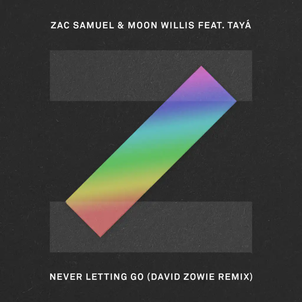 Never Letting Go (David Zowie Remix) [feat. Tayá]