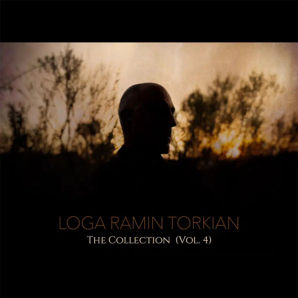 The Collection (Vol. 4)