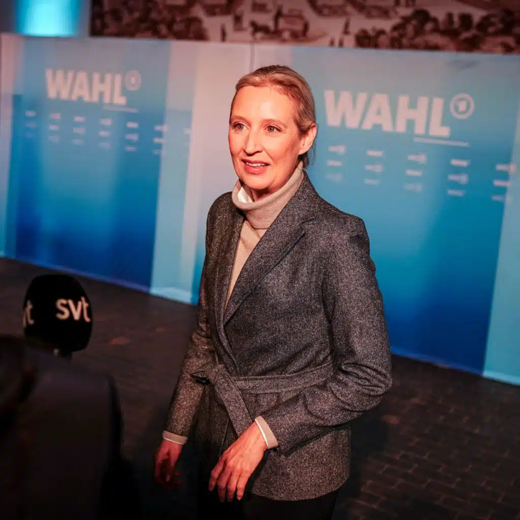 Bundestagswahl - Von Lucke: Die AfD ist die Gewinnerin des Wahlkampfs