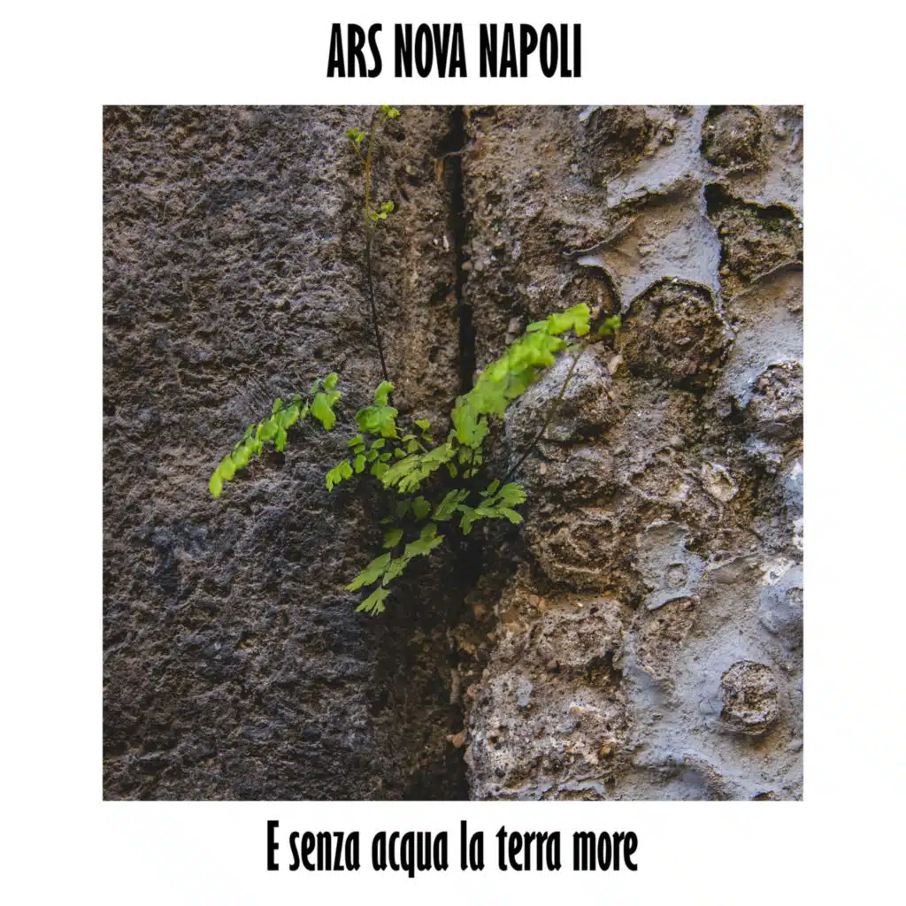La catalana (feat. assurd & Alessandro de Carolis)