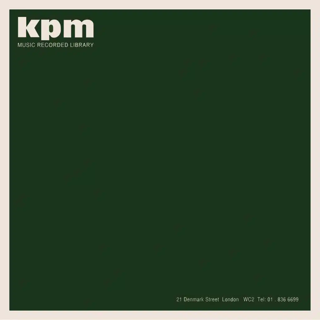Kpm 1000 Series: International Business