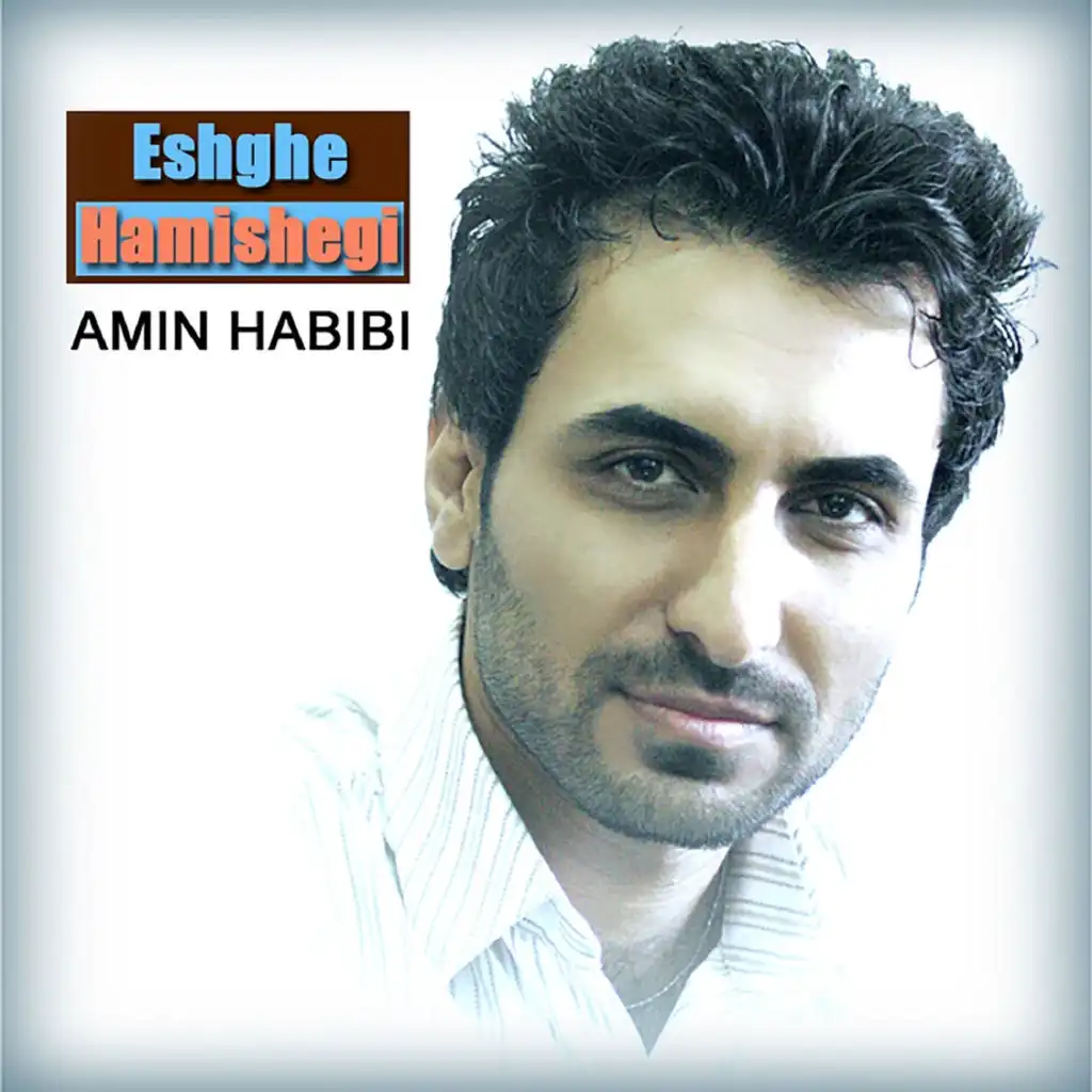 Amin Habibi