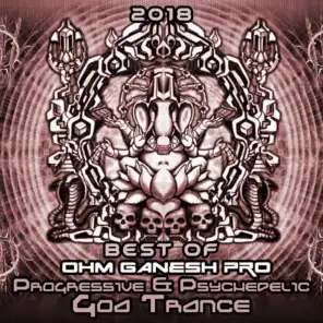Best Of Ohm Ganesh Pro 2018 - Progressive & Psychedelic Goa Trance