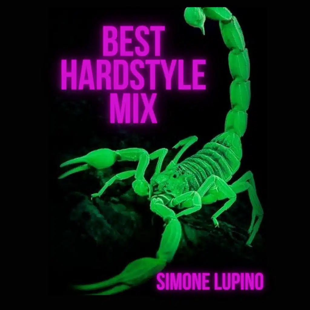 BEST HARDSTYLE MIX