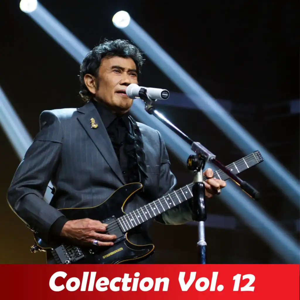 Collection, Vol. 12 (Live)