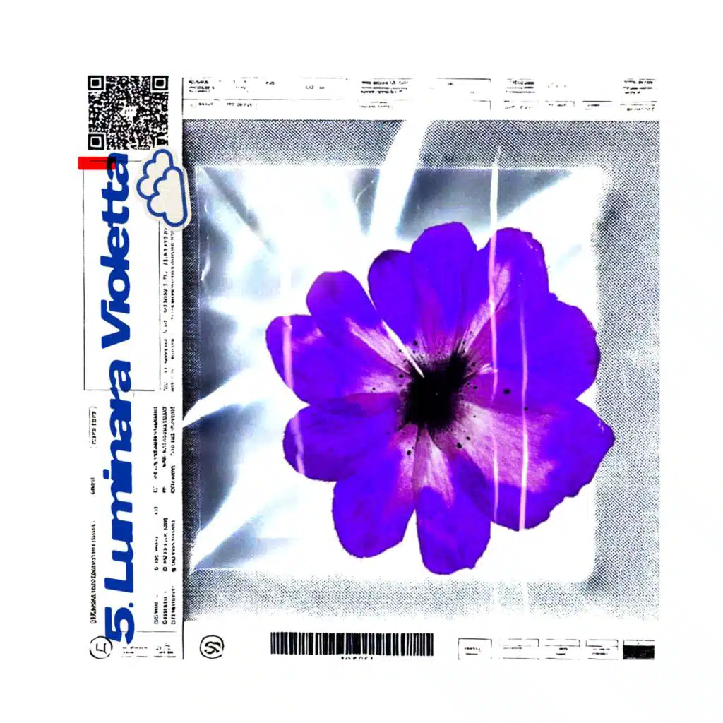 Luminara Violetta
