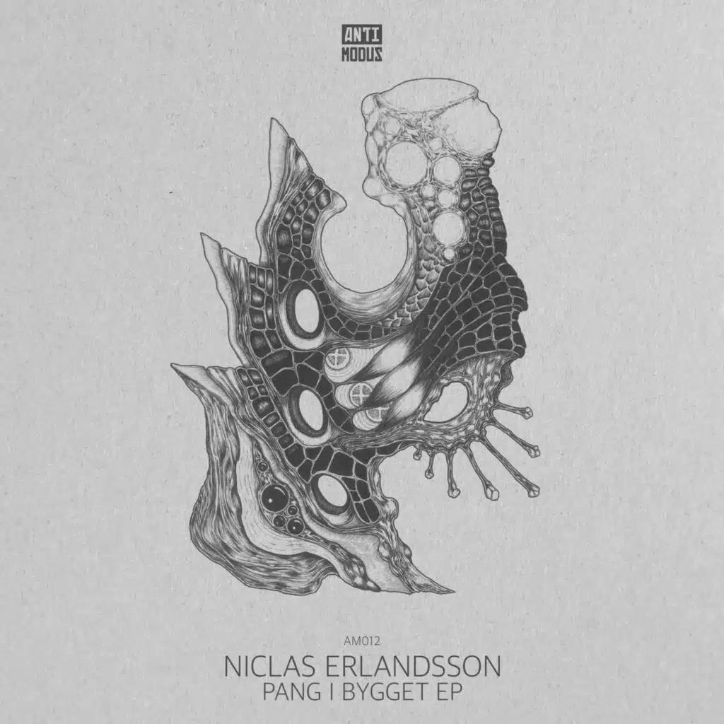 Niclas Erlandsson