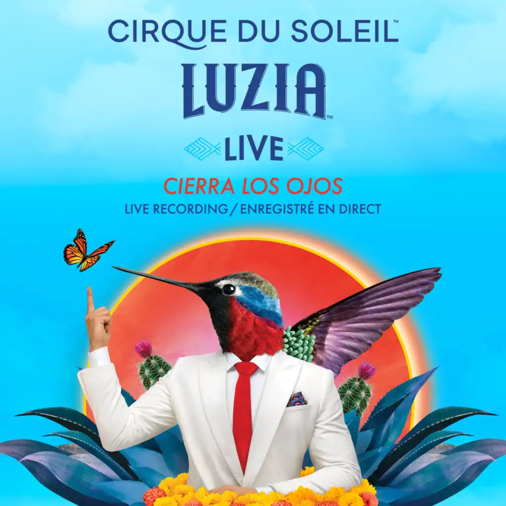 Cirque Du Soleil