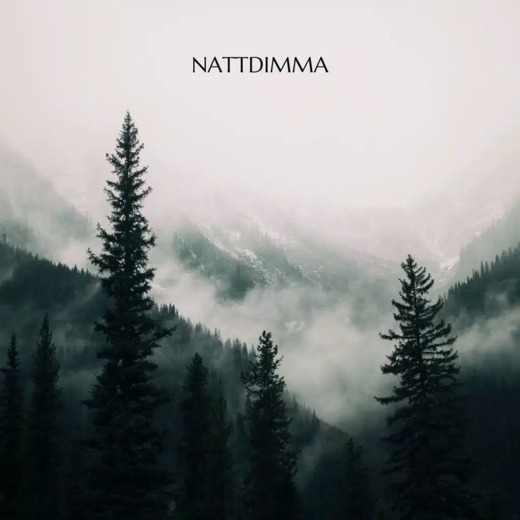 Nattdimma