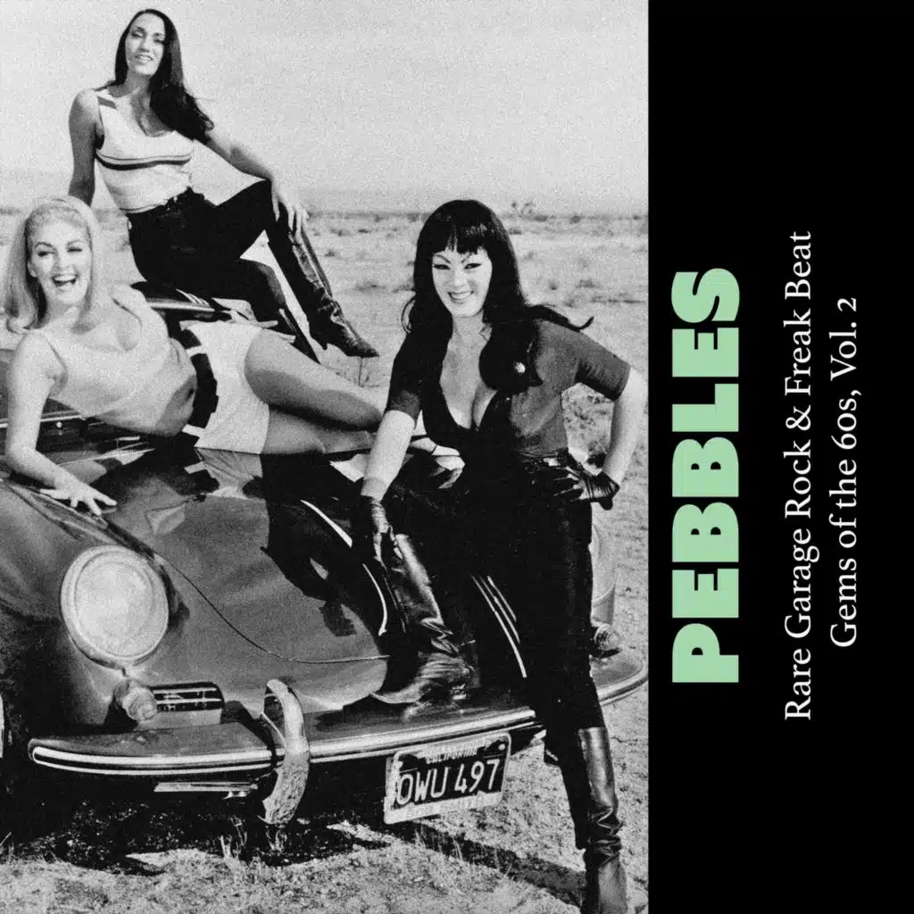 Pebbles: Rare Garage Rock & Freak Beat Gems of the 60s, Vol. 2
