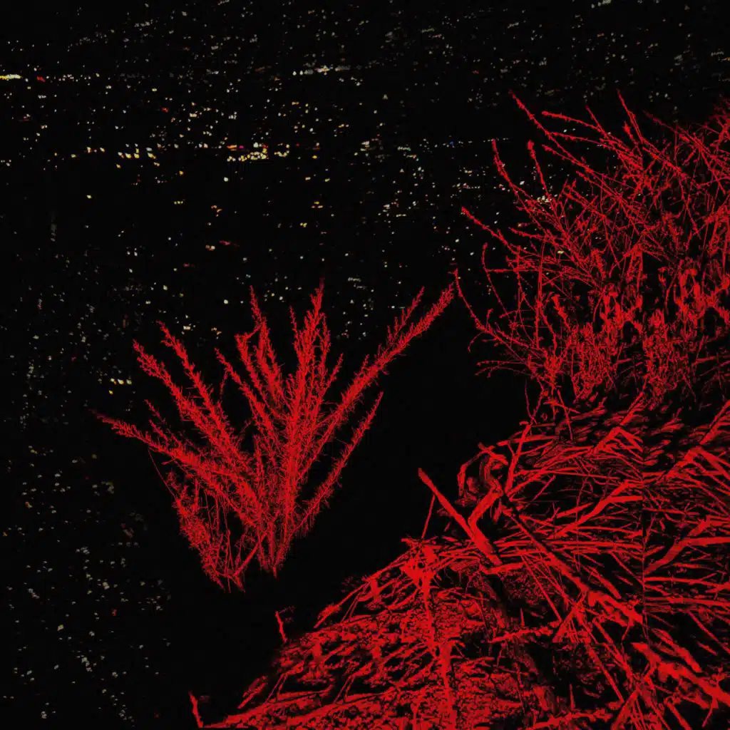 Scream Through The Trees