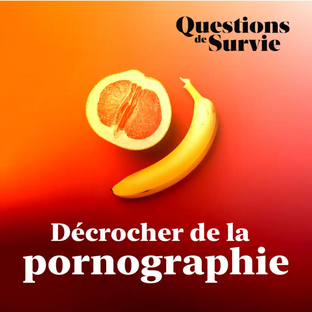 Comment décrocher de la pornographie ?