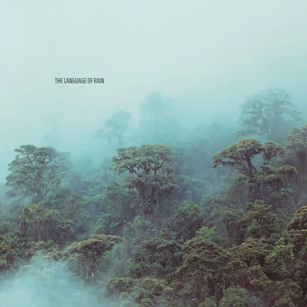 The Language of Rain