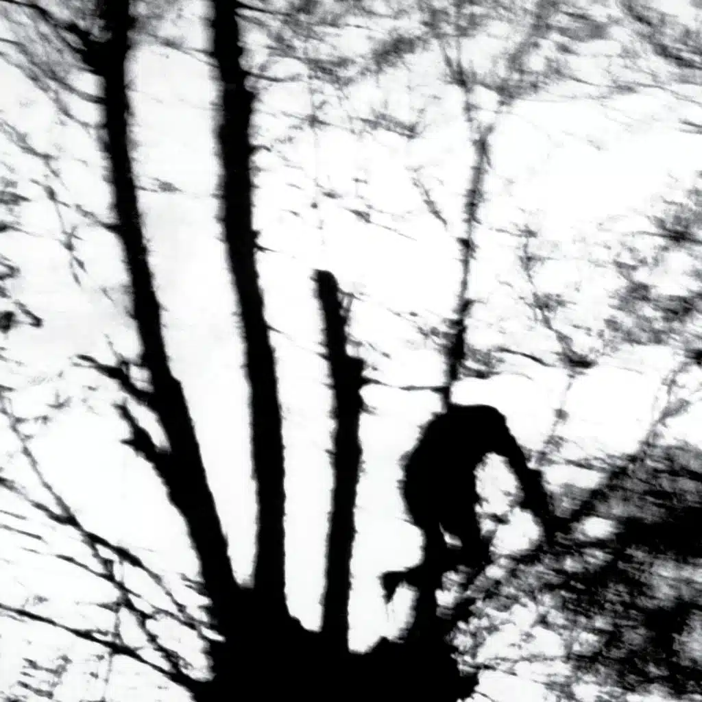 Camouflage Heart