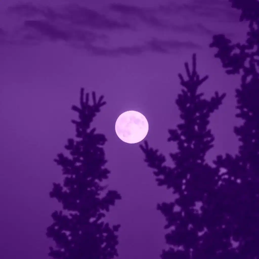 echoes from the void