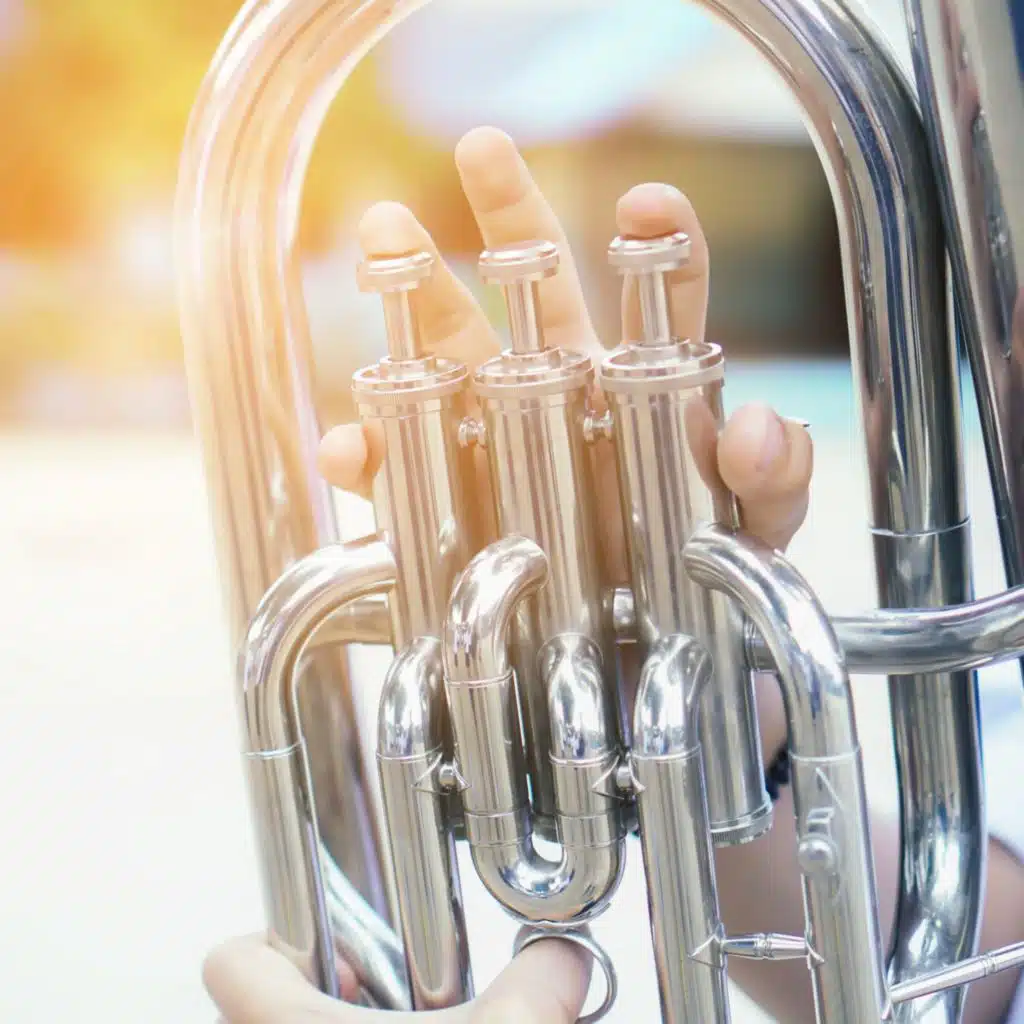 Soft Orchestra Melodies for Pet Comfort
