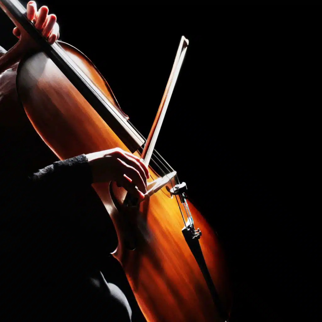 Gentle Orchestral Tunes Relax