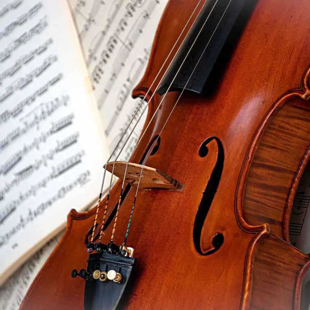 Comforting Orchestra Sounds for Nighttime Rest