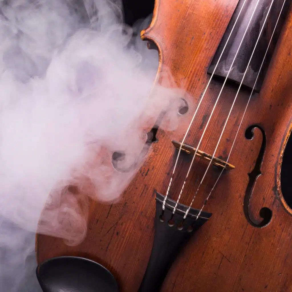 Orchestral Calm Infuses the Space