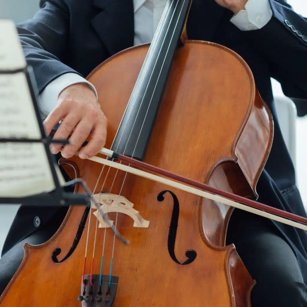 Serene Strings: Orchestra for Tranquil Evenings