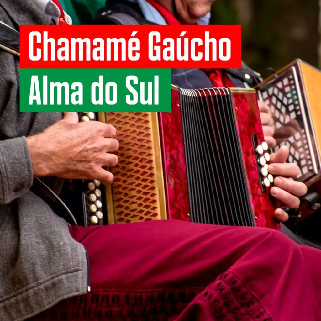 Chamamé Gaúcho: Alma do Sul