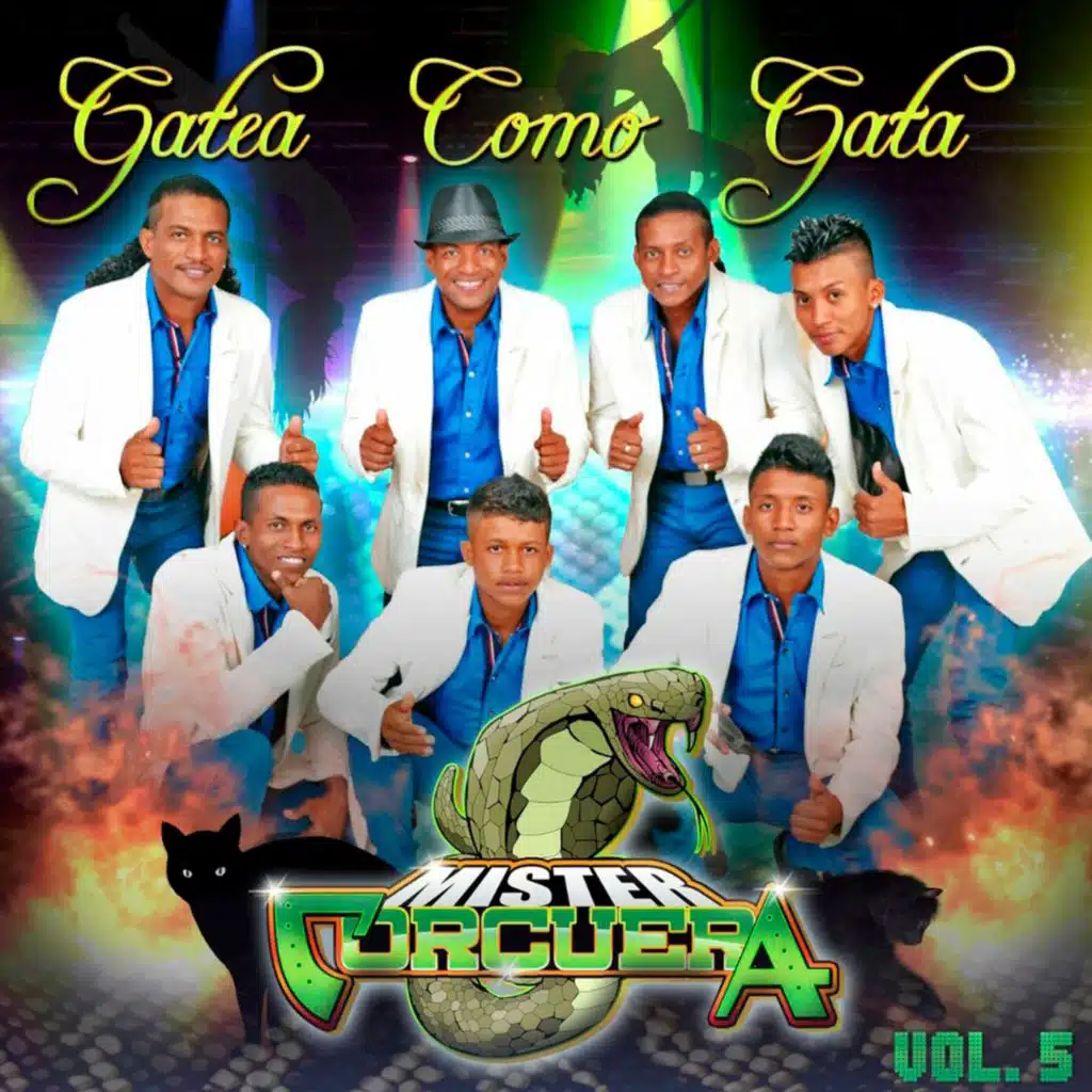 Gatea Como Gata