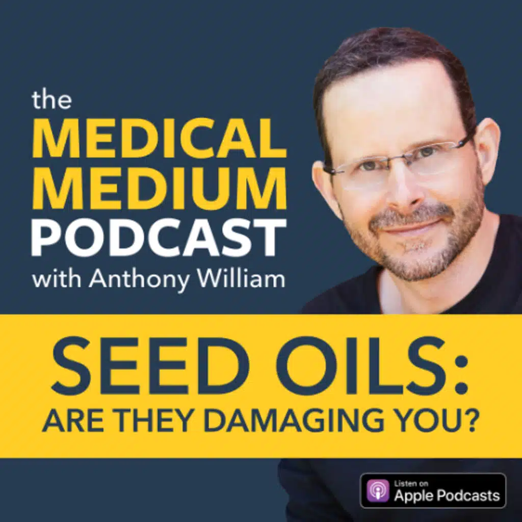 087 Seed Oils: Are They Damaging You?