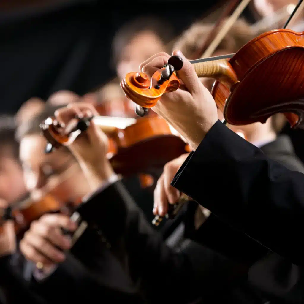 Orchestra of Calm: Serene Night Music