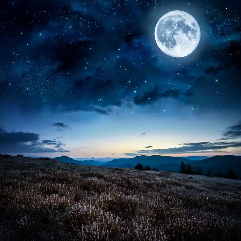 Armonía Suave De La Tarde: Música Tranquila Para Un Sueño Profundo