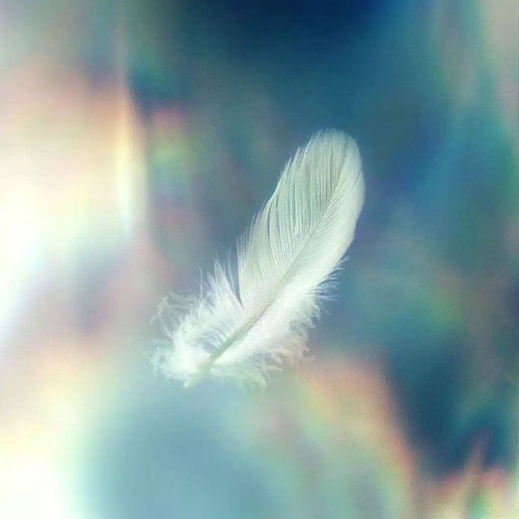 Lakewood Music Español