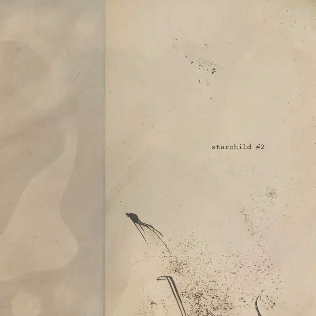 More Erased De Kooning Drawings