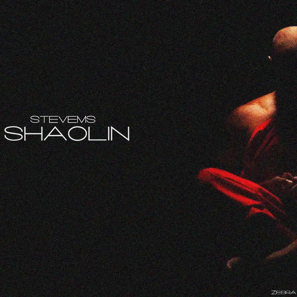 Shaolin - Single