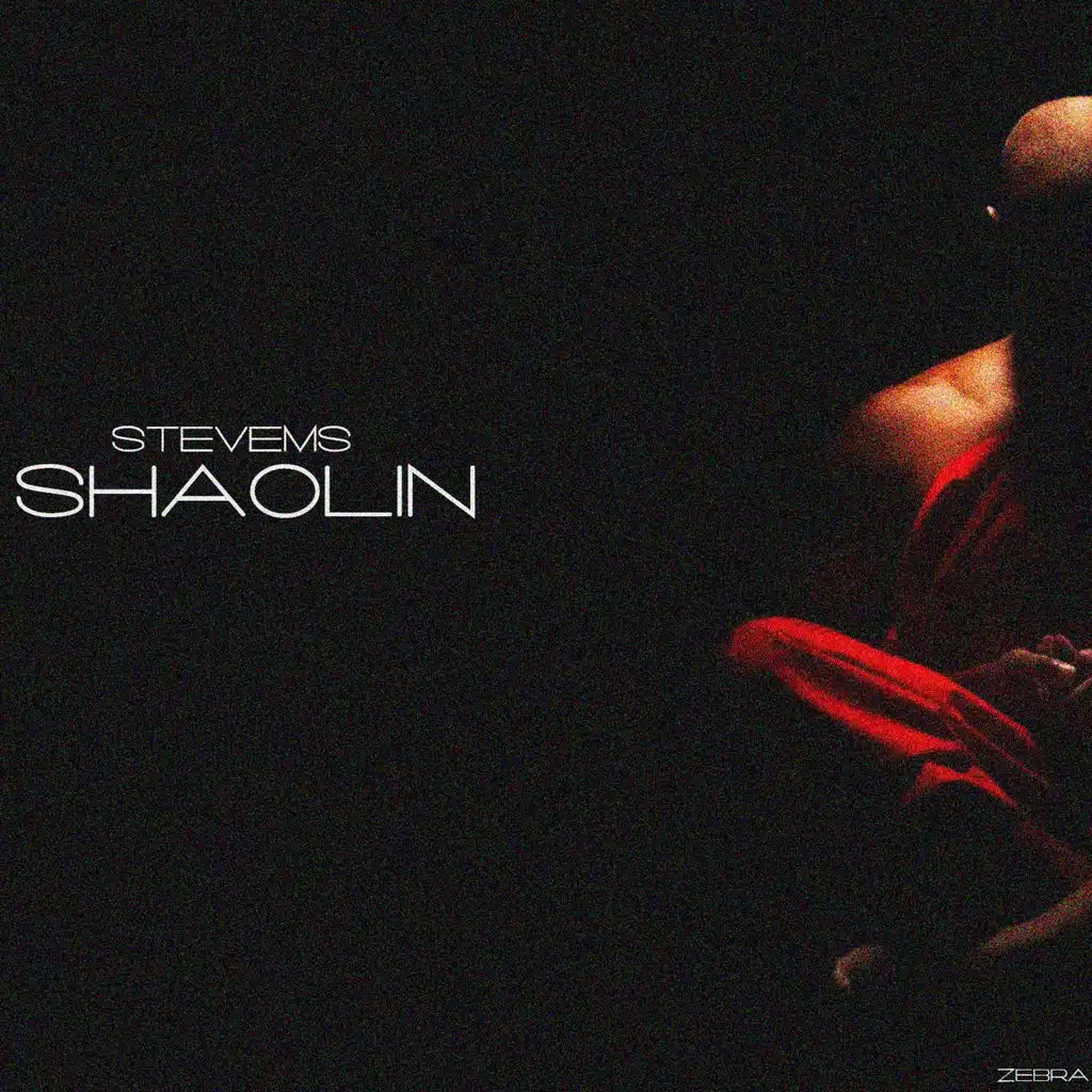 Shaolin (Original Mix)