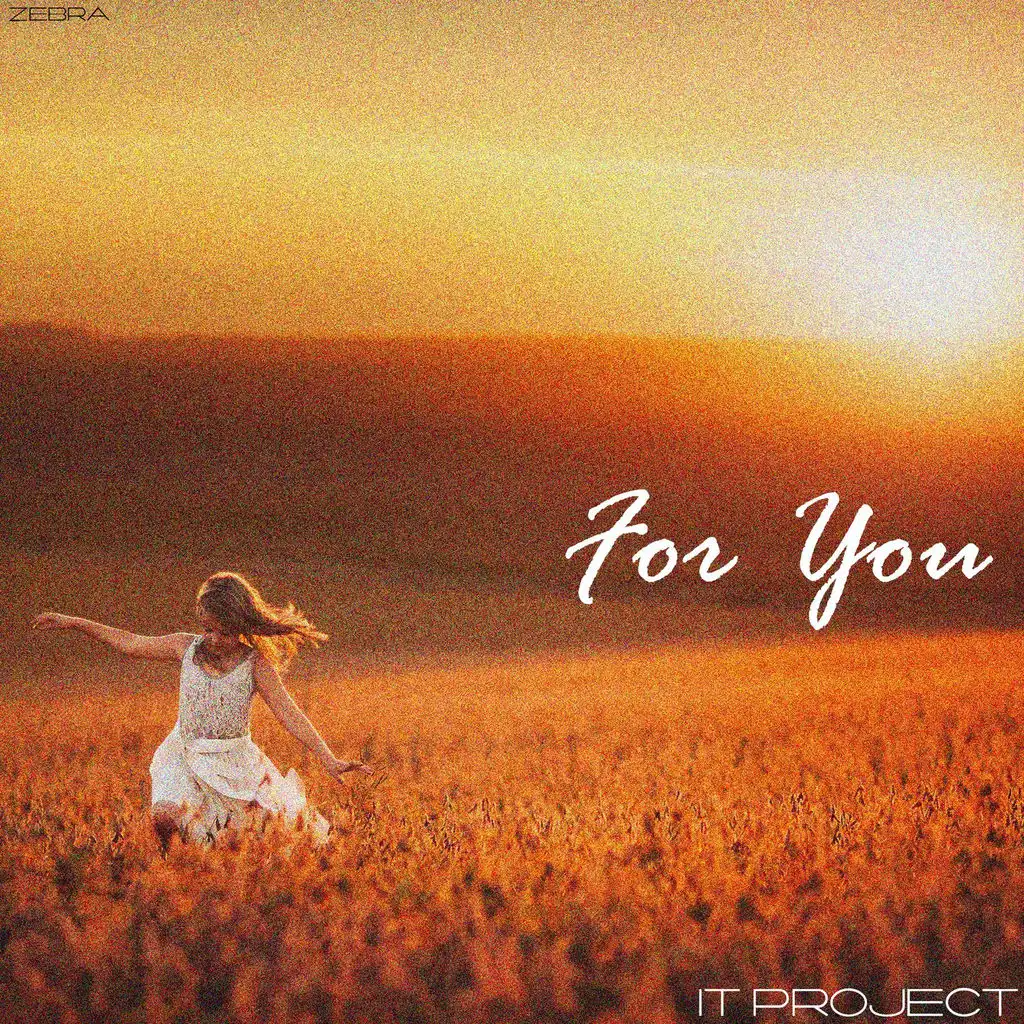 For You (Original Mix)