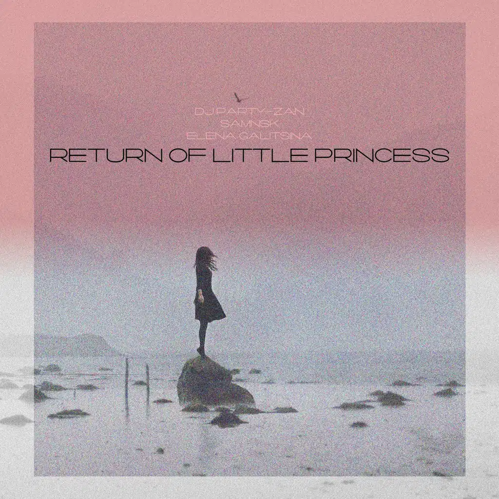 Dj Party-Zan, SamNSK