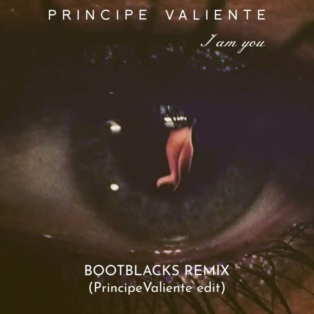 Principe Valiente